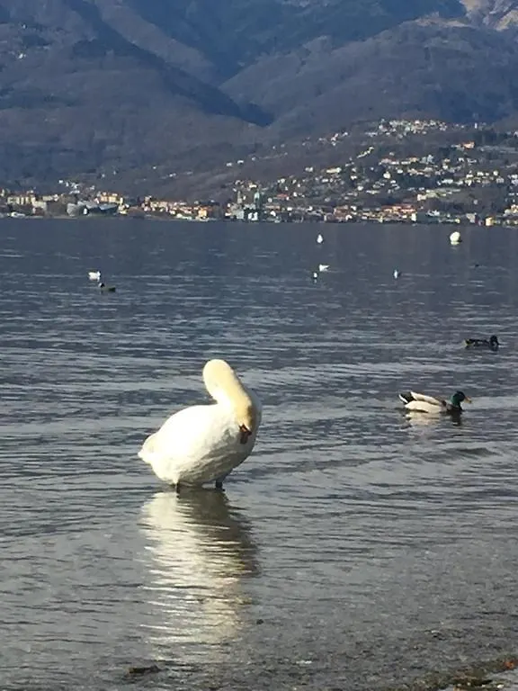L'Angolo Dei Pescatori Hotel Cerro Maggiore Cerro (Laveno-Mombello)
